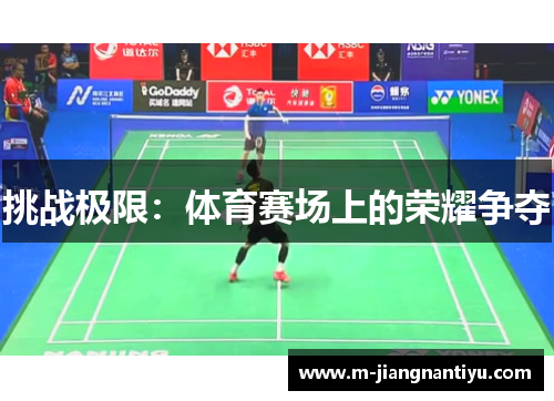 挑战极限：体育赛场上的荣耀争夺